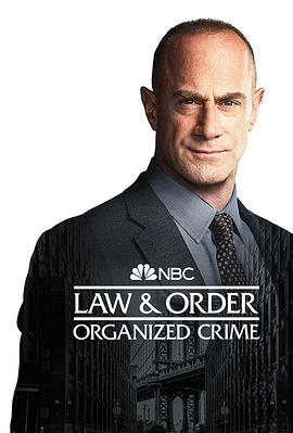 法律与秩序：组织犯罪 第三季第08集