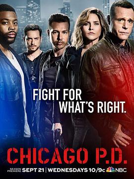 芝加哥警署第四季第06集