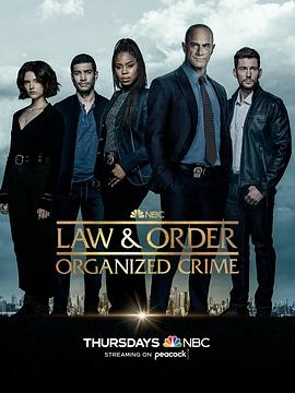 法律与秩序·组织犯罪第三季第9集