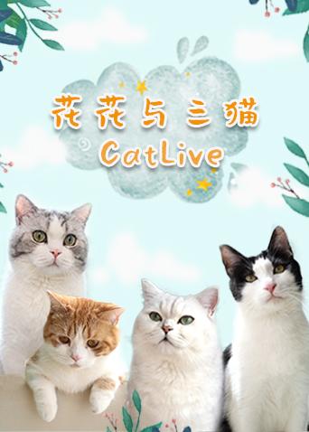 花花与三猫catlive20190727期